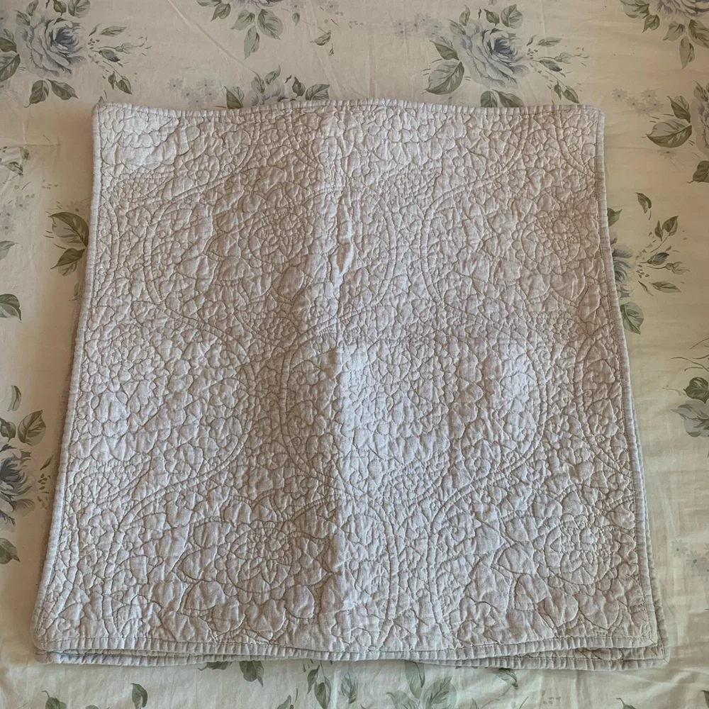 Pottery Barn Euro shams